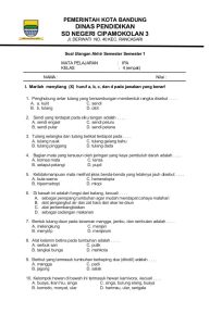Mengukur Pemahaman Contoh Soal Tes Hasil Belajar IPA Kelas 4 Semester 1