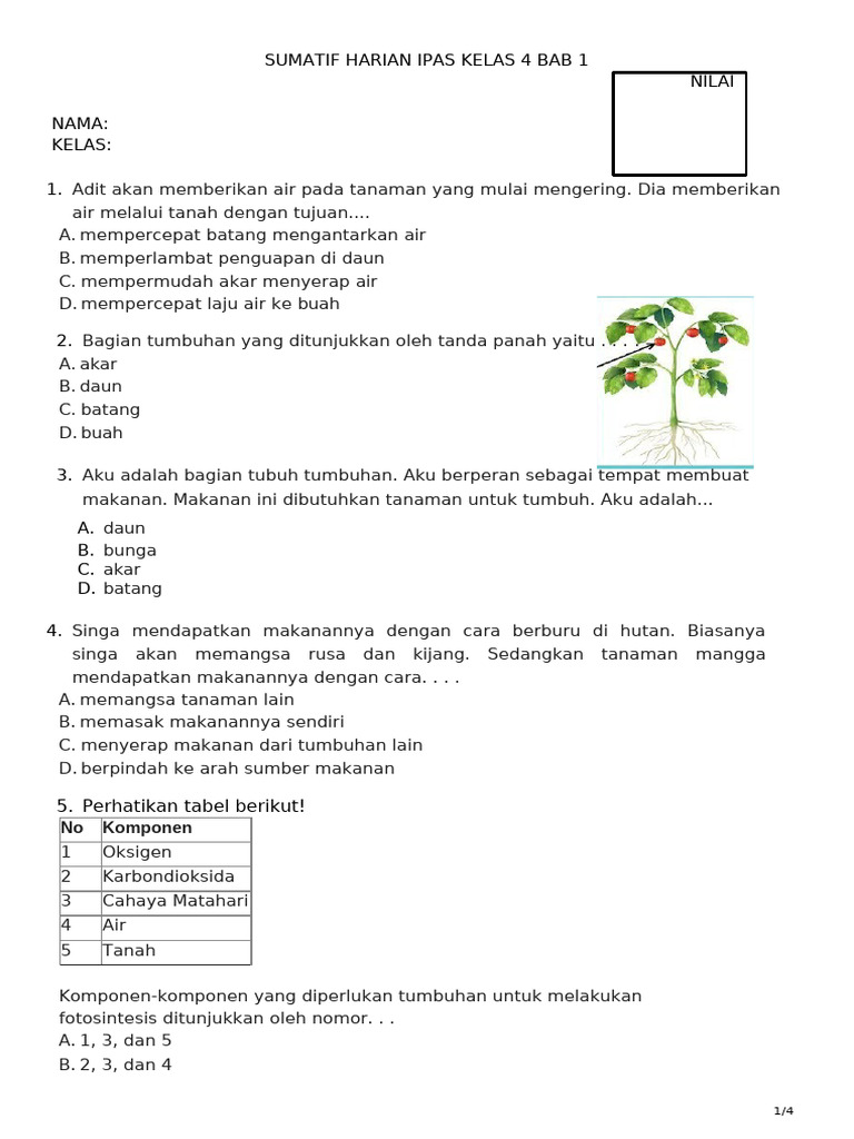 Ini 7 Soal Agian Tubuh Tumbuhanb Kelas 4 yang Sering Muncul di Ujian, Ternyata Pembahasannya Bikin Paham