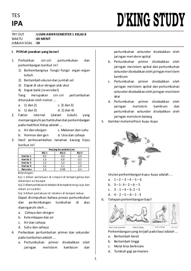 Contoh Soal Ipa Kelas 8 Semester 1 Dalchaebi